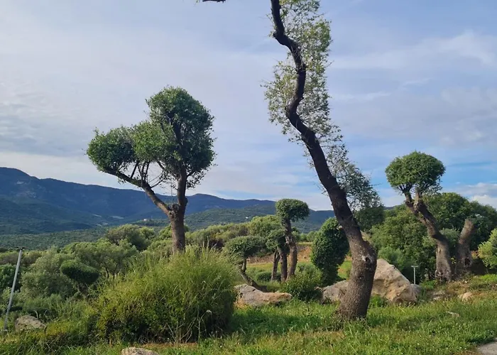 Apartment Neu 2026 F2 Für 4 Bis 5 Personen Komplett Ausgestattet In Wohnanlage Mit